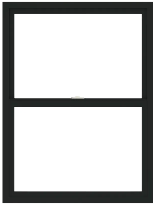 100 series single hung detail view