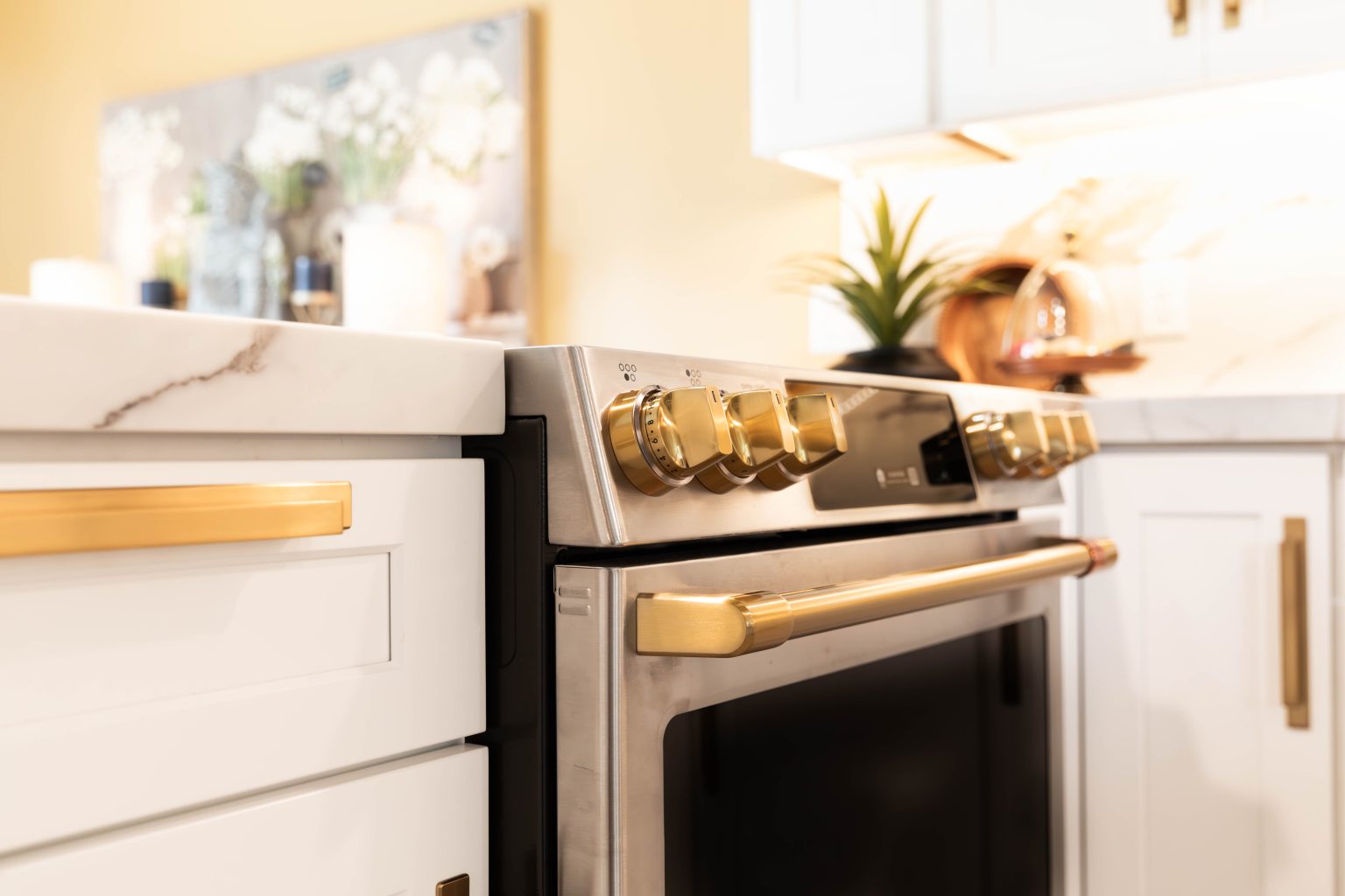 New stainless steel range with gold hardware